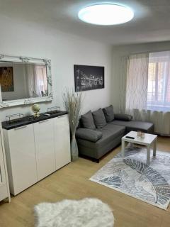 Milena Apartment - Graz - 7
