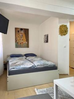 Milena Apartment - Graz - 8