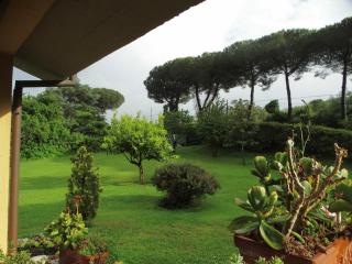 Villa Bel Lago - Bracciano - 4