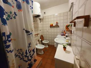 La casetta di Francesco - Relax - Mare - Treno 20' Roma - 4