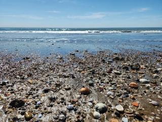 La casetta di Francesco - Relax - Mare - Treno 20' Roma - 2