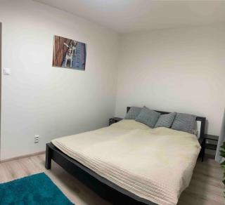 Apartman “ROSE” - Martin - 1