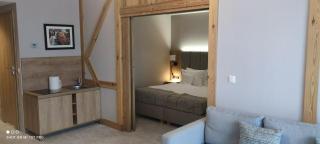 APARTAMENT w PLATINUM MOUNTAIN Z PARKINGIEM - Szklarska Poręba - 4