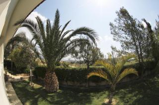 Eve Pissouri Xιnisteri Villa - 2