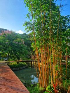 Nakhokyor Farm - Ko Yao Yai - 6
