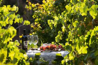 Provence Spa Villa 2 - Hepburn Springs - 2