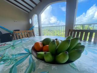 Villa les Alizés - Morne Blanc - 1