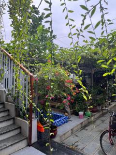 Asahi Luxstay - Homestay Đường Lâm Hostel - Sơn Tây - 4