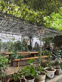 Asahi Luxstay - Homestay Đường Lâm Hostel - Sơn Tây - 9