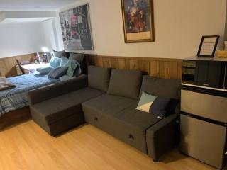 BIG Oasis Studio near Airport YYZ - Toronto - 4