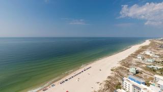 Phoenix Gulf Tower 2503 condo - Gulf Shores - 3
