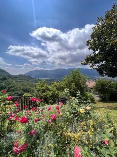 Appartamento CASA DEI NONNI 2 - Torre deʼ Busi - 5
