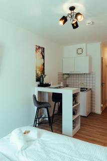 Apartment modern und gemütlich ggü. Uni-Passau, TG-Stellplatz, Balkon - Passavia - 2