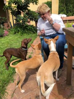 Castello di Montonate, two-bedroom apartment - 7