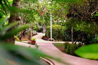 ORCHID LODGE SAMUI - Bed & Breakfast - Lamai - 4