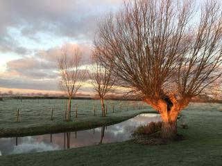 heyzerhof - Poperinge - 3