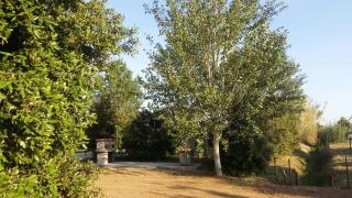 BNATURAL GLAMPING NATURISTA/NUDISTA - Baratti - 6