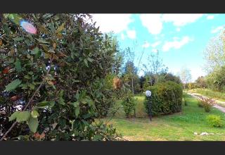 BNATURAL GLAMPING NATURISTA/NUDISTA - Baratti - 5