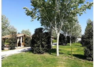 BNATURAL GLAMPING NATURISTA/NUDISTA - Baratti - 3