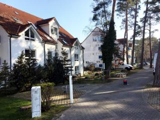 Blaumuschel Haus A Wohnung 20 - DH - Lubmin - 6