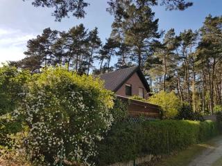 Ferienhaus am Dünenwald - DH - Lubmin - 9