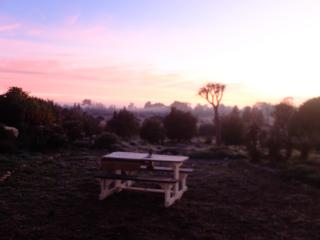 Moreson - 5