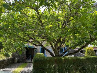 Casa da Nogueira - Porto Moniz - 2