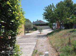 ROSE - Monteux - 6