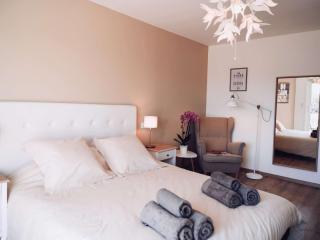 Villa Maurine - Piscine chauffée - Spa - Clim - Salle de Fitness - 3