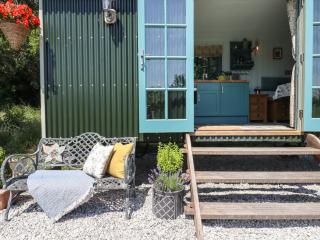 Two Moors Shepherds Hut - Exeter - 7
