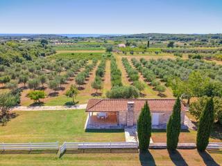 Malipiero Estate - Villa and Cottage - Rovinj - 8