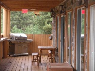 The Lodge at Duck Creek - 4