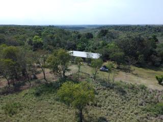 La Nolina - - 2
