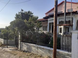 kali SunnySide Up - Nea Kalikratia - 1