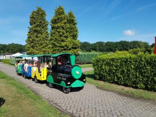 Holiday park Duinhoeve - Udenhout - 2