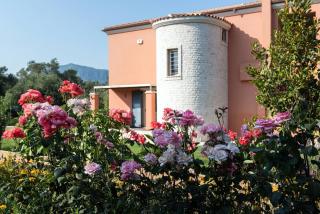 Contemporary Corfu Retreat 3 Bedrooms Villa Girasole Artful Decor Lush Garden Tranquil Setting - Dafnila - 8