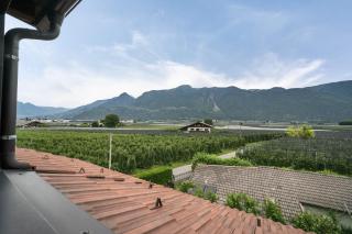 Erlengut Apt Burgstall - Lana - 6