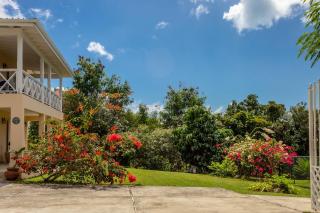 Sugarfields Sunset Apartment - Jolly Harbour - 0