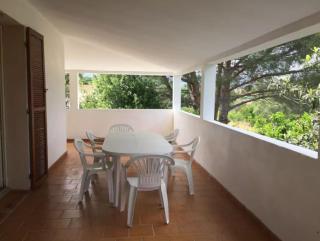 Mare è Monte , jardin méditerranéen et exotique. - Ghisonaccia - 2