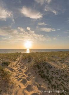 Moliets Plage Appartement pour 4 Piscine proche Plage et Commerces - Moliets-et-Maa - 7