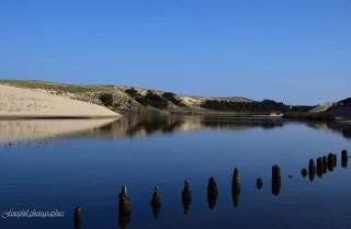 Moliets Plage Appartement pour 4 Piscine proche Plage et Commerces - Moliets-et-Maa - 8