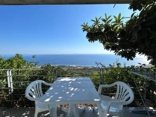 Vila Jona Palasë - 2