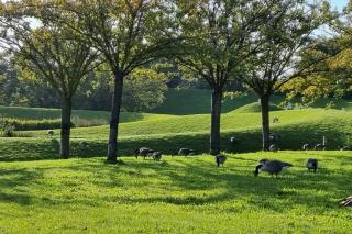 L'appartement du Château de Vincennes - 1
