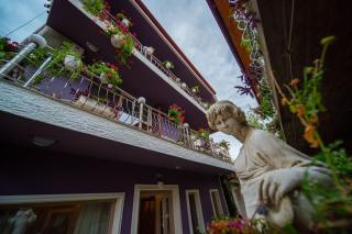 Negrean Residence - Oradea - 5