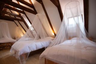 Women's Only Hostel - Female Only - Praga - 6