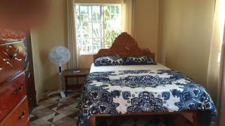 Mango tree Oasis - Treasure Beach - 7