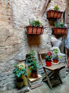 Casa Maria Grazia Appartamento Tipico del Centro Storico di Siena ad un passo da Piazza del Campo - Siena - 6