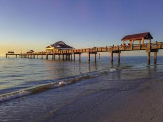 Newly Renovated Couple’s Retreat 2Bd/1B with King Bed - Tampa - 2