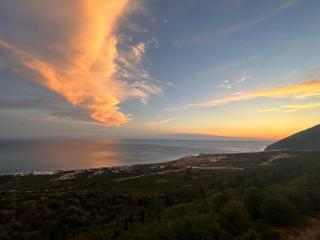 Vila Jona Palasë - 4