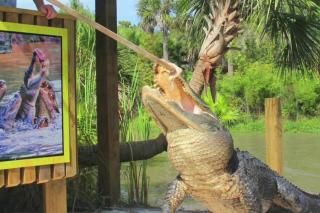 King Bed and Modern Home sleeps 8 - 3